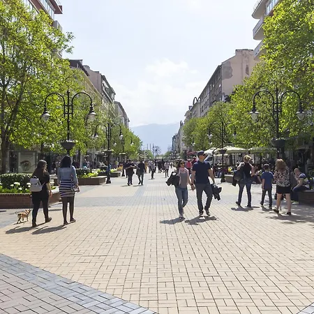 Vitosha 55